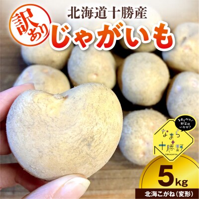 【訳あり】北海道十勝芽室町 農家応援じゃがいも 北海こがね(変形)5kg　me001-050c-3