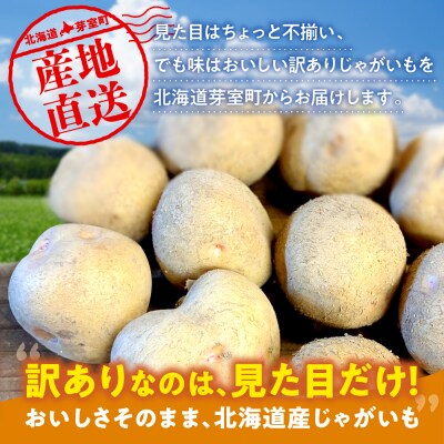 【訳あり】北海道十勝芽室町 農家応援じゃがいも 北海こがね(変形)5kg　me001-050c-3