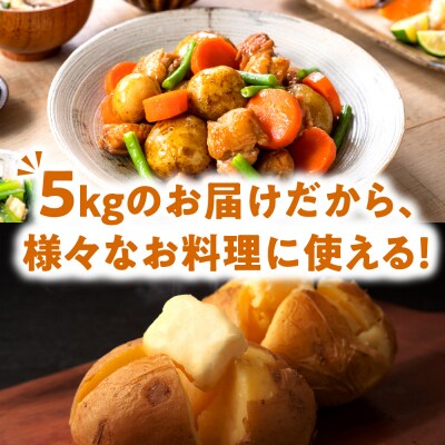 【訳あり】北海道十勝芽室町 農家応援じゃがいも 北海こがね(変形)5kg　me001-050c-3
