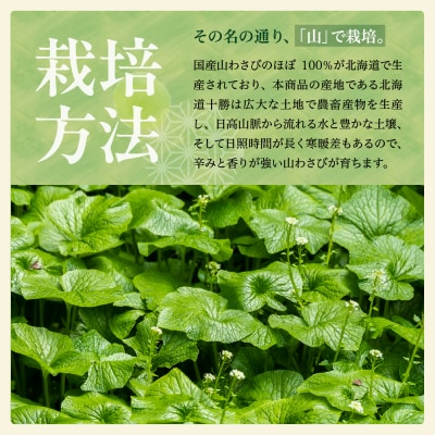 北海道芽室町 十勝産 山わさび(土付き1kg)me064-001c