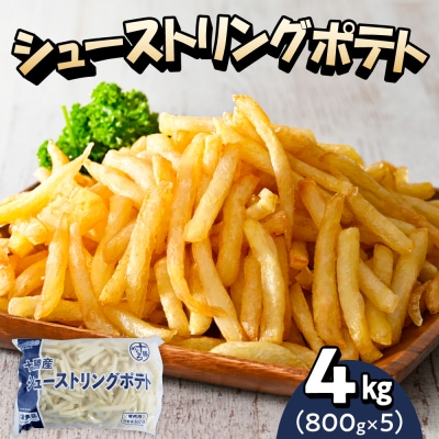 北海道十勝芽室町  シューストリングポテト4.0kg(5袋)me003-055c