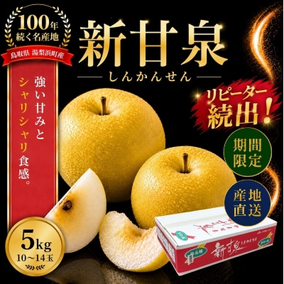 新甘泉5kg(1M.)