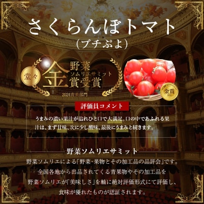 【事前受付】衝撃の一粒!!さくらんぼミニトマト(プチぷよ) 約1kg　H004-180_Apr
