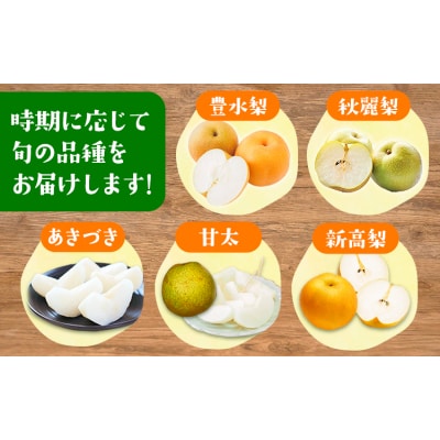 『緑伸園』の旬の梨 約5kg 旬の品種をお届け 6-16玉前後入り 《8月中旬-9月下旬頃出荷》