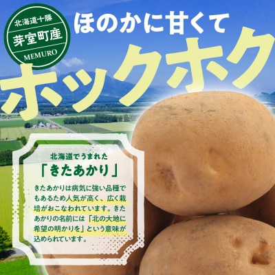 【先行受付】【2026年9月下旬より配送予定】北海道十勝芽室町 きたあかり5kg