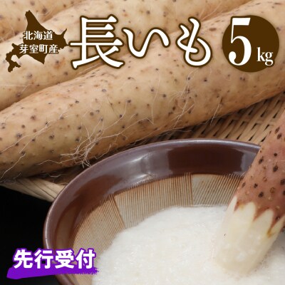 【先行受付】【2026年11月より配送予定】北海道十勝芽室町 長いも 約5kg me002-015c