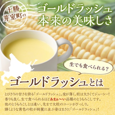 北海道十勝芽室町 十勝産ゴールドラッシュのコーンスープ 　20袋　me003-030c-20