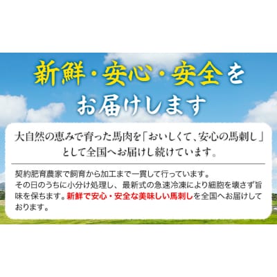 赤身馬刺し 300g (専用醤油付き150ml×1本) 《60日以内に出荷予定(土日祝除く)》 
