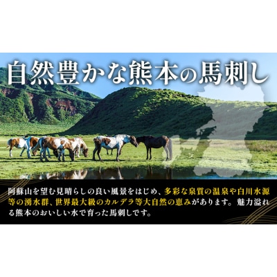 馬刺し5種盛 50g×5 《30日以内に出荷予定(土日祝除く)》