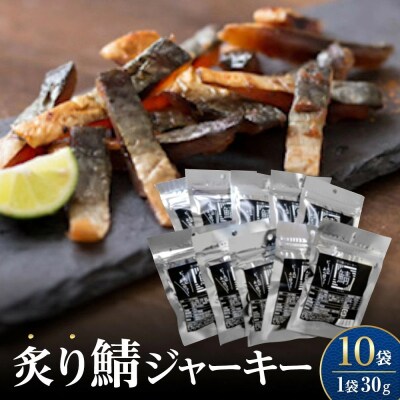 炙り鯖ジャーキー小袋(30g×10P)