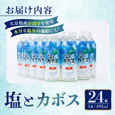 塩とカボス (495ml×24本)