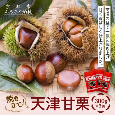 《先行予約 2026年9月下旬～発送》焼き立て! 天津甘栗300g×3袋|京都 甘栗 人気