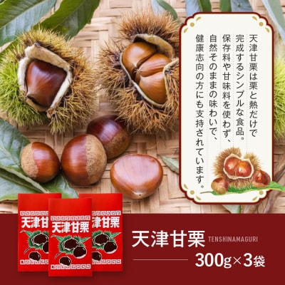 《先行予約 2026年9月下旬～発送》焼き立て! 天津甘栗300g×3袋|京都 甘栗 人気