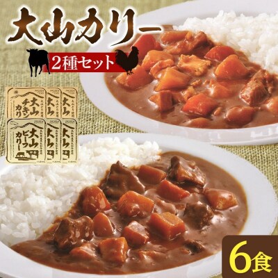大山カリーセット(ビーフカリー中辛3個、チキンカリー中辛3個)