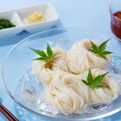 稲庭古来そうめん　ST-30紙箱入り[B1-1403]