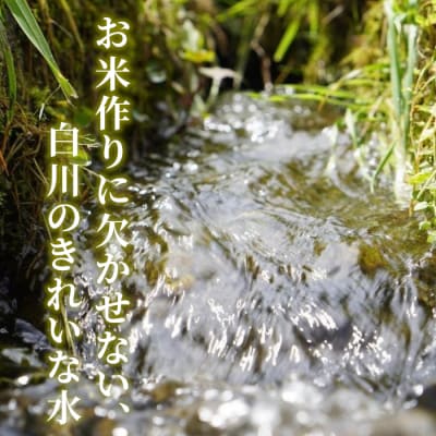 令和7年産 コシヒカリ 精米 約5kg 米 岐阜県 東白川村産