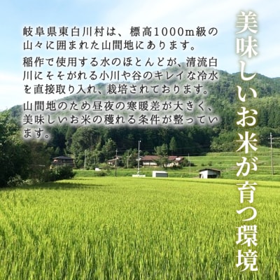 令和7年産 コシヒカリ 精米 約5kg 米 岐阜県 東白川村産