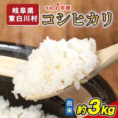 令和7年産 コシヒカリ 精米 約3kg 米 岐阜県 東白川村産