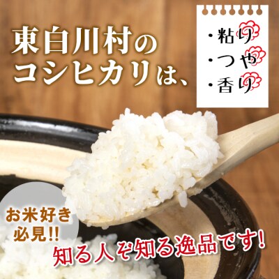 令和7年産 コシヒカリ 精米 約3kg 米 岐阜県 東白川村産