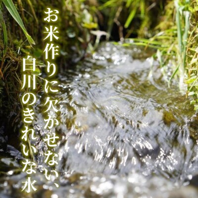 令和7年産 コシヒカリ 精米 約3kg 米 岐阜県 東白川村産