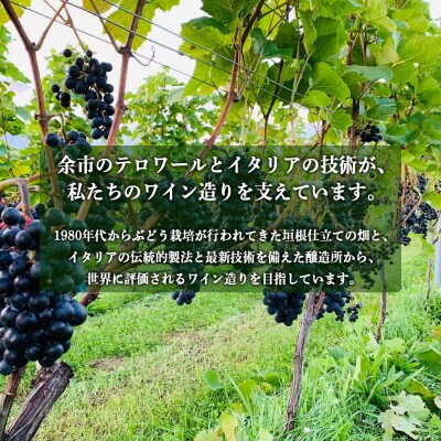 ピノ・ノワール プライベート・リザーブ2021_1本【キャメルファーム】_Y020-0695