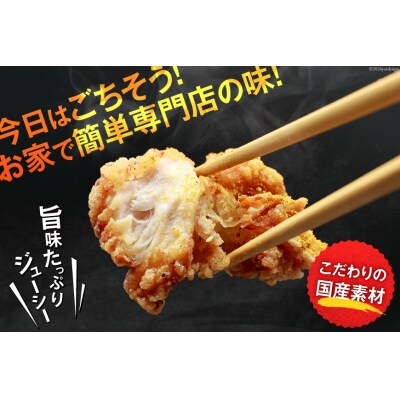 唐揚げ ごちから カレー味 300gx4袋(計1.2kg) [38600910]