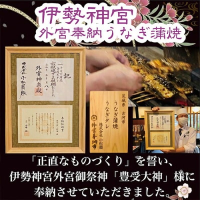 うなぎ蒲焼5人前(1人前約100g×5)ご自宅用パッケージ | うなぎ 鰻 ウナギ _AT26