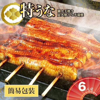 うなぎ蒲焼6人前(1人前約160g×6)ご自宅用パッケージ | うなぎ 鰻 ウナギ _AT32