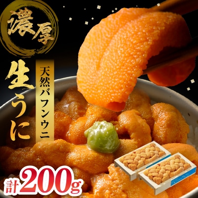 ≪氷温熟成≫生うに(天然バフンウニ)100g×2枚_H0009-102