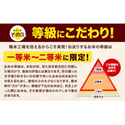 令和7年産 無洗米 【12ヶ月定期便】 ひのひかり 10kg《お申込み翌月から出荷》