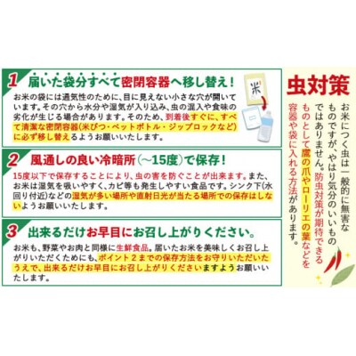 令和7年産 無洗米 【12ヶ月定期便】 ひのひかり 10kg《お申込み翌月から出荷》