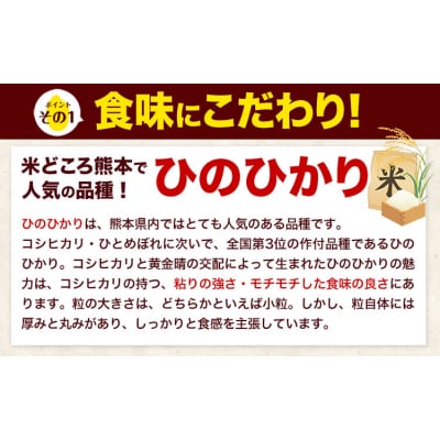 令和7年産 白米 【隔月6回定期便】 ひのひかり 10kg《お申込み翌月から出荷》 