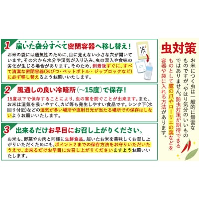 令和7年産 白米 【隔月6回定期便】 ひのひかり 10kg《お申込み翌月から出荷》 