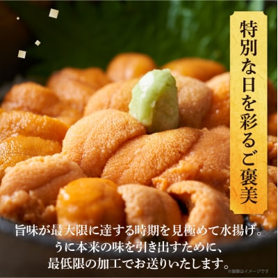 ≪氷温熟成≫塩水うに(天然バフンウニ)　50g×5パック_H0009-105