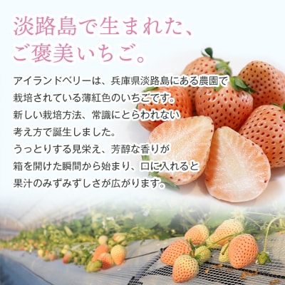 淡路島アイランドベリー 白苺淡雪 2～4P入【3月発送先行受付・お届け日指定不可】　as14033