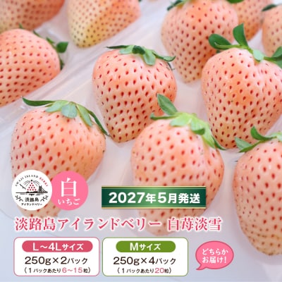 淡路島アイランドベリー 白苺淡雪 2～4P入【5月発送受付・お届け日指定不可】　as14035