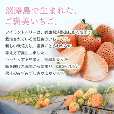 淡路島アイランドベリー 白苺淡雪 2～4P入【5月発送受付・お届け日指定不可】　as14035