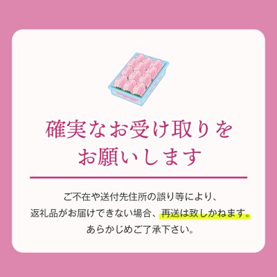 淡路島アイランドベリー 白苺淡雪 2～4P入【5月発送受付・お届け日指定不可】　as14035