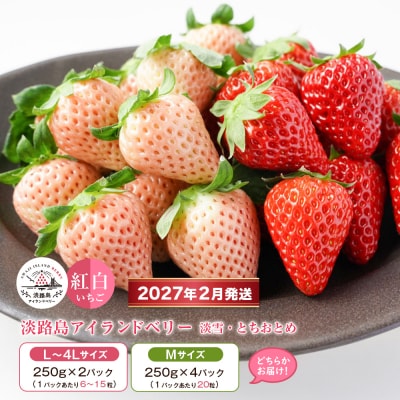 淡路島アイランドベリー 紅白いちご 2～4P入【2月発送受付・お届け日指定不可】　as14036