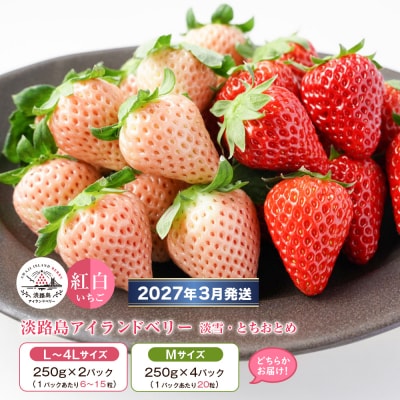 淡路島アイランドベリー 紅白いちご 2～4P入【3月発送予約受付・お届け日指定不可】　as14037