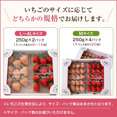 淡路島アイランドベリー 紅白いちご 2～4P入【3月発送予約受付・お届け日指定不可】　as14037