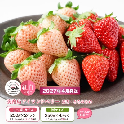 淡路島アイランドベリー　紅白いちご 2～4P入【4月発送予約受付・お届け日指定不可】　as14038