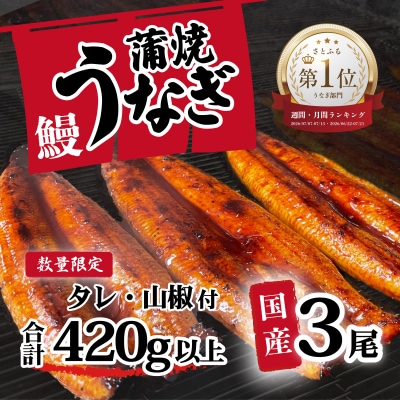 【数量限定】【訳あり】 国産うなぎ 蒲焼き 3尾 420g以上 大きさ不揃い タレ・山椒付き