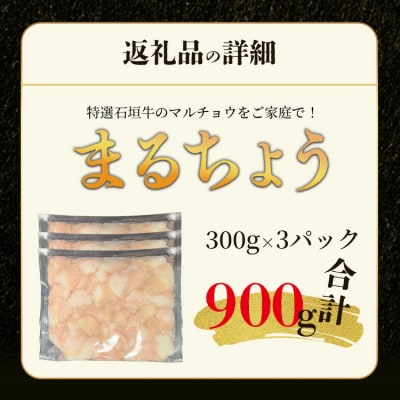 希少な特選石垣牛のホルモンをご家庭で!!マルチョウ300g×3パック
