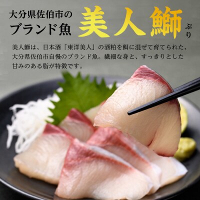 <先行予約受付中> 大分県産美人鰤刺身 セット (計400g・刺身100g×4皿)