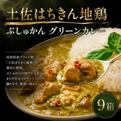 ぶしゅかんグリーンカレー9食セット 