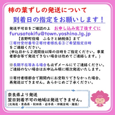 柿の葉寿司20個入り(鮭10・鯖10)