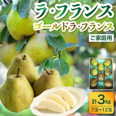 ラ・フランスとゴールドラ・フランス詰合せ　3kg　ご家庭用　0017-2624