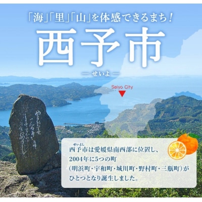 <秘伝の特製麹熟成!厚切り やわらか牛タン>MMW0016　訳あり 焼肉 厚切り 8mm 丸和