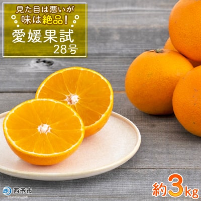 見た目は悪いが味は逸品　無茶々園の愛媛果試28号　3kg
